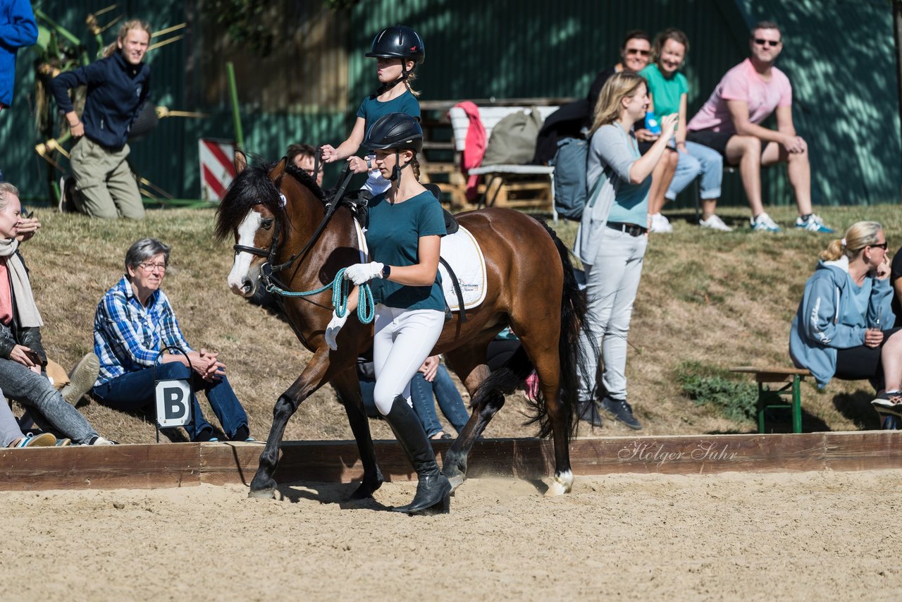 Bild 48 - Pony Akademie Turnier